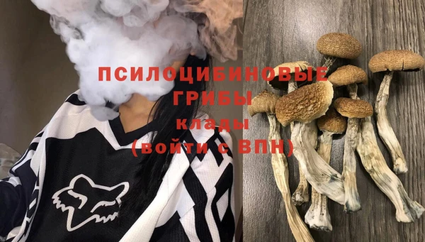 МДПВ Наволоки
