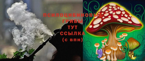 сатива Навашино