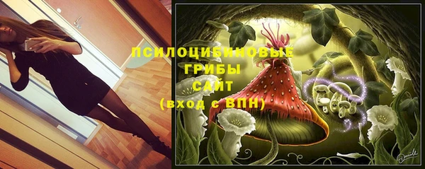 индика Ахтубинск
