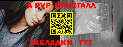 гидра Гай