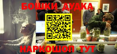 гидра Гай