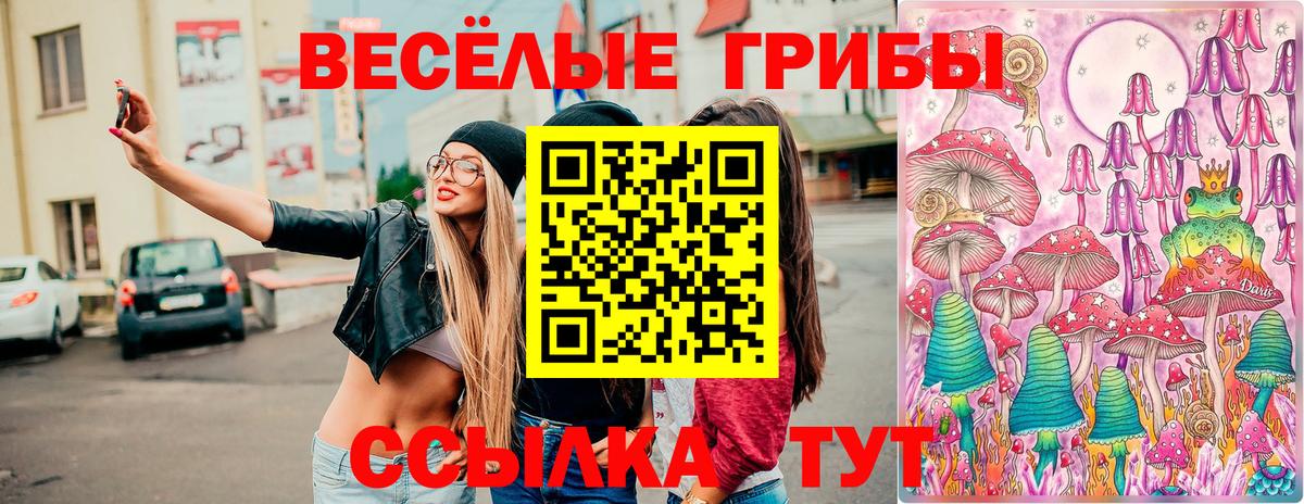 Галлюциногенные грибы Cubensis Челябинск