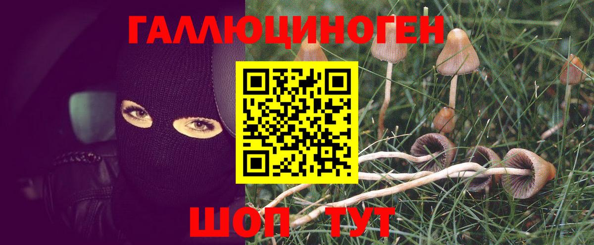 Галлюциногенные грибы Psilocybe  Вход с VPN  Челябинск 